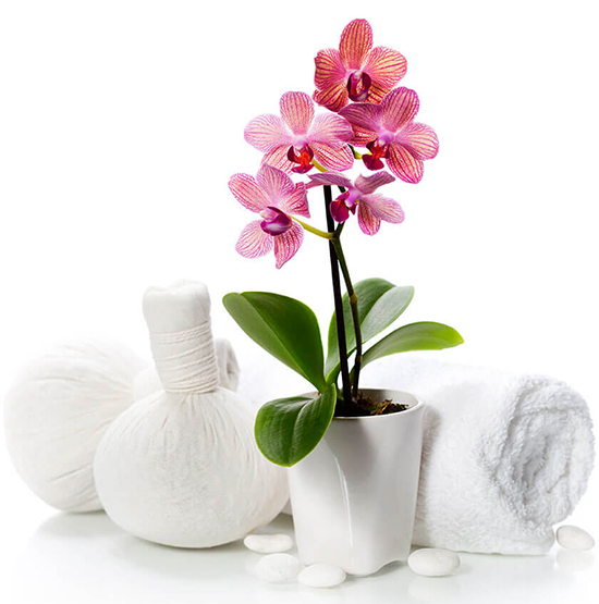 Đến với Chi Beauty